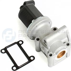 Professional Parts 87345031 - Vanne EGR cwaw.fr