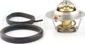 Professional Parts 26439958 - Thermostat d'eau cwaw.fr