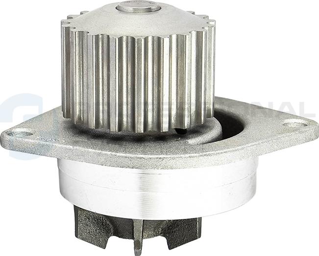 Professional Parts 26080158 - Pompe à eau cwaw.fr