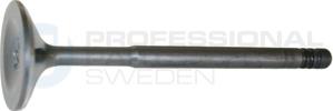 Professional Parts 23431466 - Soupape d'émission cwaw.fr