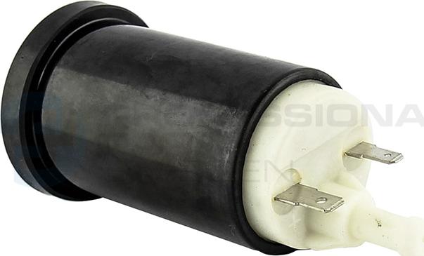 Professional Parts 23080004 - Pompe à carburant cwaw.fr