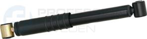 Professional Parts 72436881 - Amortisseur cwaw.fr