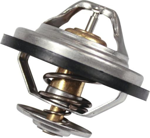 Profit 1705-0061 - Thermostat d'eau cwaw.fr