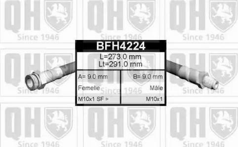 Quinton Hazell BFH4224 - Flexible de frein cwaw.fr