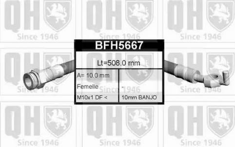 Quinton Hazell BFH5667 - Flexible de frein cwaw.fr