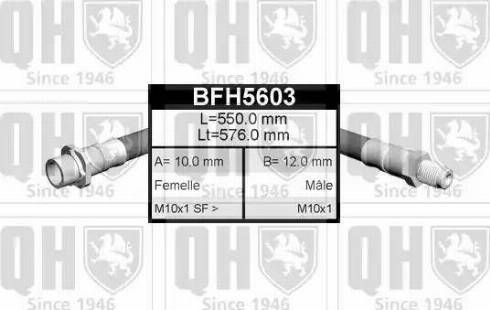 Quinton Hazell BFH5603 - Flexible de frein cwaw.fr