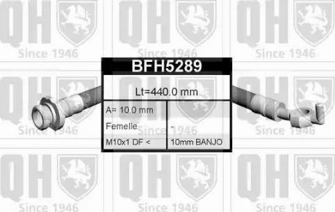 Quinton Hazell BFH5289 - Flexible de frein cwaw.fr