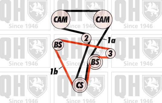 Quinton Hazell QBK315 - Kit de distribution cwaw.fr