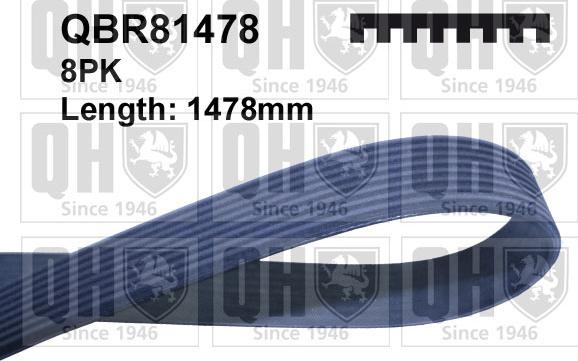 Quinton Hazell QBR81478 - Courroie trapézoïdale à nervures cwaw.fr