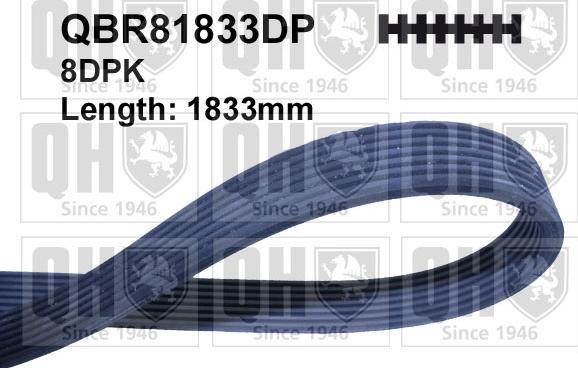 Quinton Hazell QBR81833DP - Courroie trapézoïdale à nervures cwaw.fr