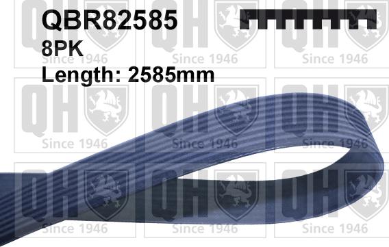 Quinton Hazell QBR82585 - Courroie trapézoïdale à nervures cwaw.fr