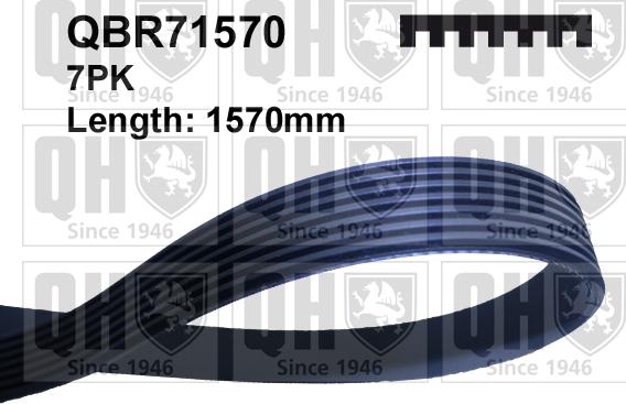 Quinton Hazell QBR71570 - Courroie trapézoïdale à nervures cwaw.fr