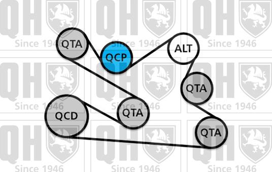 Quinton Hazell QDK134 - Jeu de courroies trapézoïdales à nervures cwaw.fr