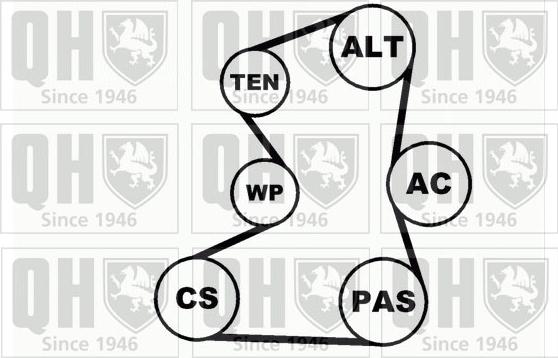 Quinton Hazell QDK31 - Jeu de courroies trapézoïdales à nervures cwaw.fr