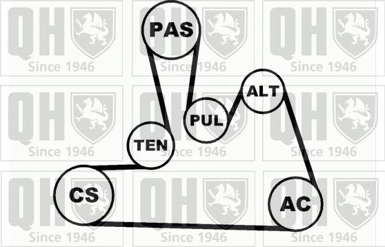 Quinton Hazell QDK31 - Jeu de courroies trapézoïdales à nervures cwaw.fr