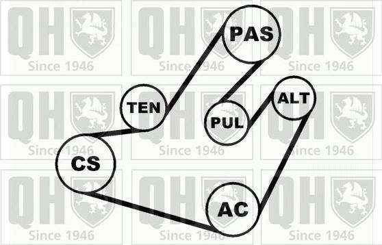 Quinton Hazell QDK31 - Jeu de courroies trapézoïdales à nervures cwaw.fr