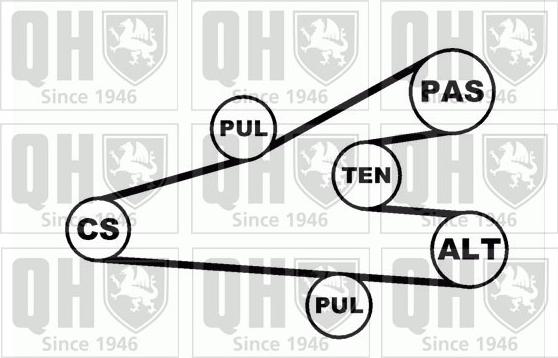 Quinton Hazell QDK25 - Jeu de courroies trapézoïdales à nervures cwaw.fr