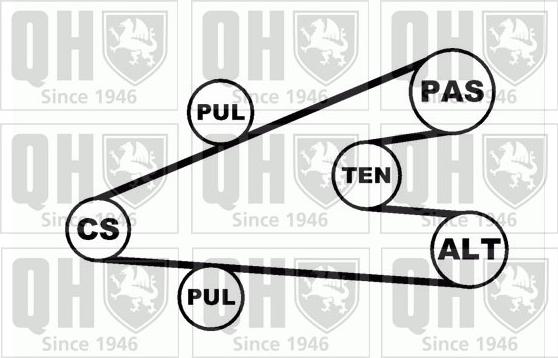 Quinton Hazell QDK25 - Jeu de courroies trapézoïdales à nervures cwaw.fr