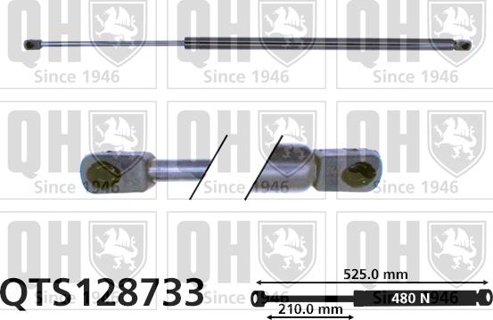 Quinton Hazell QTS128733 - Vérin, capot-moteur cwaw.fr