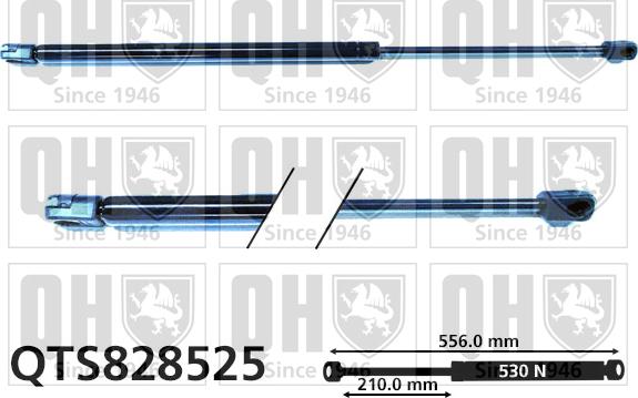 Quinton Hazell QTS828525 - Vérin de hayon, de coffre cwaw.fr