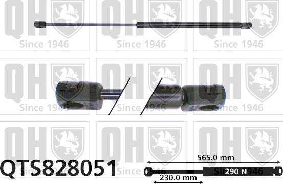 Quinton Hazell QTS828051 - Vérin, capot-moteur cwaw.fr