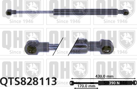 Quinton Hazell QTS828113 - Vérin de hayon, de coffre cwaw.fr