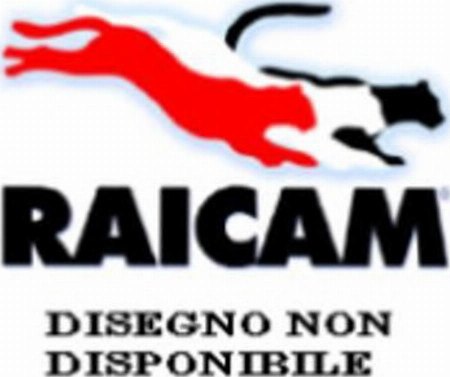 Raicam 2660 - Kit de plaquettes de frein, frein à disque cwaw.fr