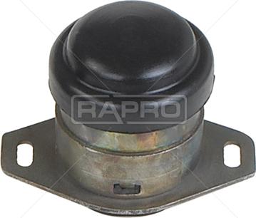 Rapro R59851 - Support moteur cwaw.fr