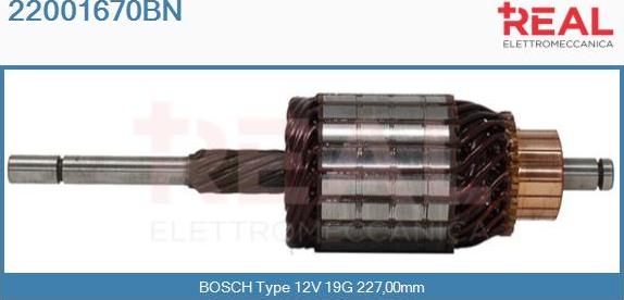 REAL 22001670BN - Induit, démarreur cwaw.fr