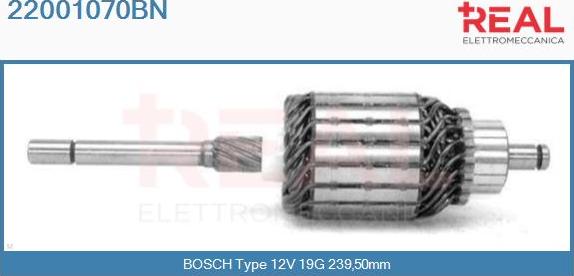 REAL 22001070BN - Induit, démarreur cwaw.fr