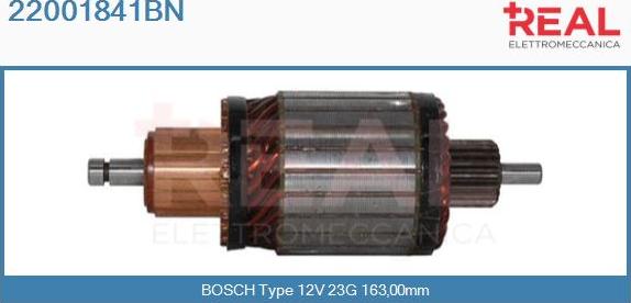 REAL 22001841BN - Induit, démarreur cwaw.fr