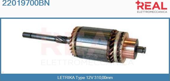 REAL 22019700BN - Induit, démarreur cwaw.fr