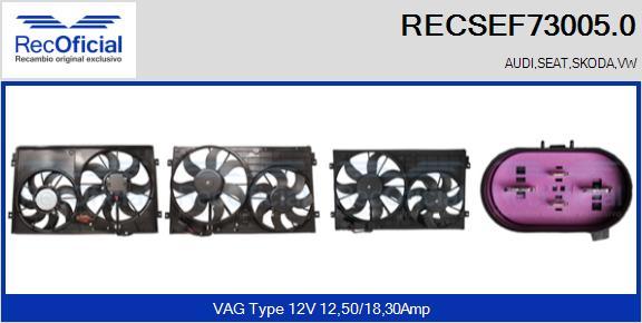 RECOFICIAL RECSEF73005.0 - Moteur électrique, ventilateur pour radiateurs cwaw.fr