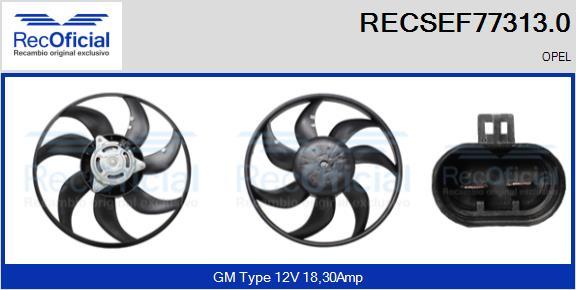 RECOFICIAL RECSEF77313.0 - Ventilateur, refroidissement du moteur cwaw.fr