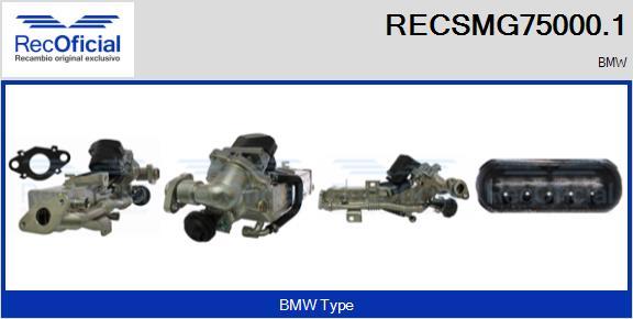 RECOFICIAL RECSMG75000.1 - Module-EGR cwaw.fr