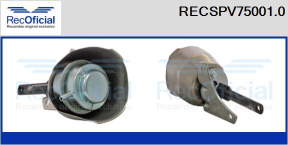 RECOFICIAL RECSPV75001.0 - Détendeur de suralimentation cwaw.fr