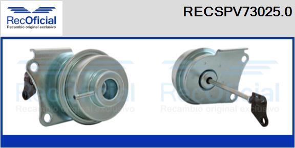 RECOFICIAL RECSPV73025.0 - Détendeur de suralimentation cwaw.fr