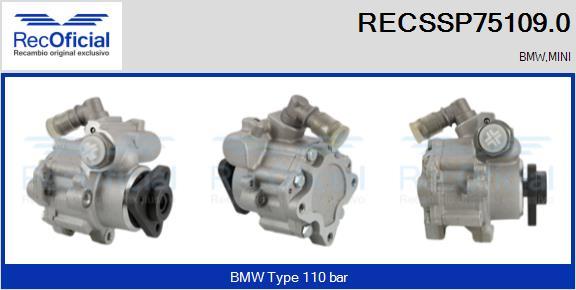 RECOFICIAL RECSSP75109.0 - Pompe hydraulique, direction cwaw.fr