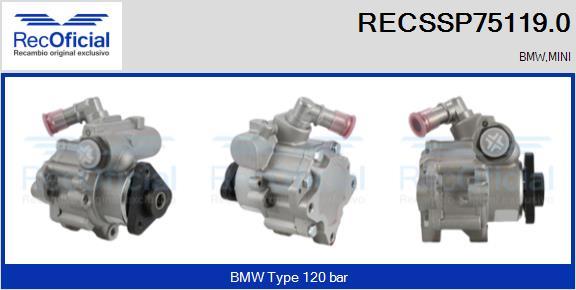 RECOFICIAL RECSSP75119.0 - Pompe hydraulique, direction cwaw.fr