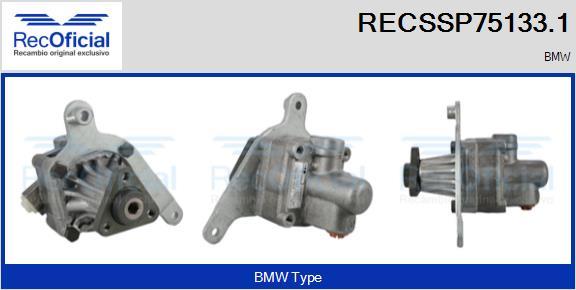 RECOFICIAL RECSSP75133.1 - Pompe hydraulique, direction cwaw.fr