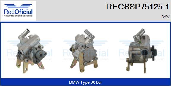 RECOFICIAL RECSSP75125.1 - Pompe hydraulique, direction cwaw.fr