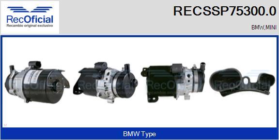 RECOFICIAL RECSSP75300.0 - Pompe hydraulique, direction cwaw.fr