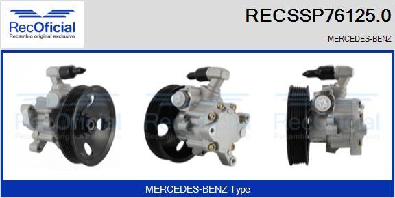 RECOFICIAL RECSSP76125.0 - Pompe hydraulique, direction cwaw.fr