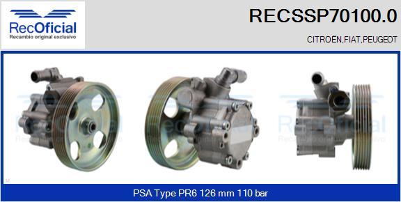 RECOFICIAL RECSSP70100.0 - Pompe hydraulique, direction cwaw.fr