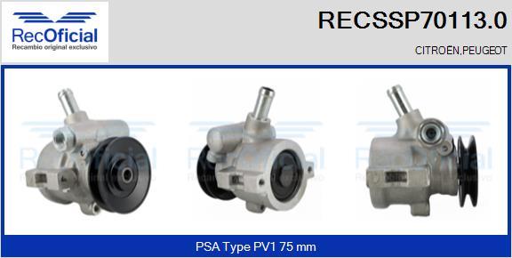 RECOFICIAL RECSSP70113.0 - Pompe hydraulique, direction cwaw.fr