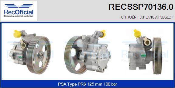 RECOFICIAL RECSSP70136.0 - Pompe hydraulique, direction cwaw.fr