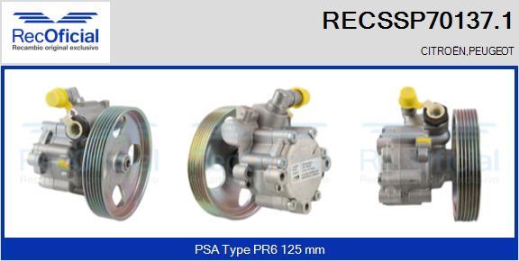 RECOFICIAL RECSSP70137.1 - Pompe hydraulique, direction cwaw.fr