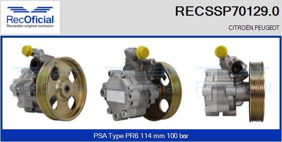 RECOFICIAL RECSSP70129.0 - Pompe hydraulique, direction cwaw.fr