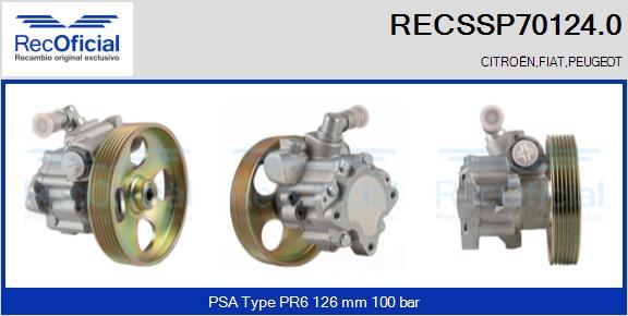 RECOFICIAL RECSSP70124.0 - Pompe hydraulique, direction cwaw.fr