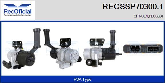 RECOFICIAL RECSSP70300.1 - Pompe hydraulique, direction cwaw.fr